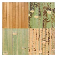 Bamboo Wall